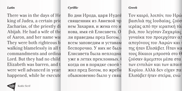 When they were both pleased with the new look of the font, they made Medium and decided to add CE and Greek script to the glyph set, to make it pan-european.