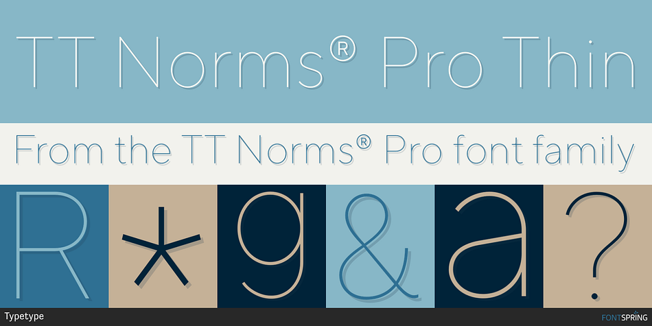TT Norms® Pro Thin Font