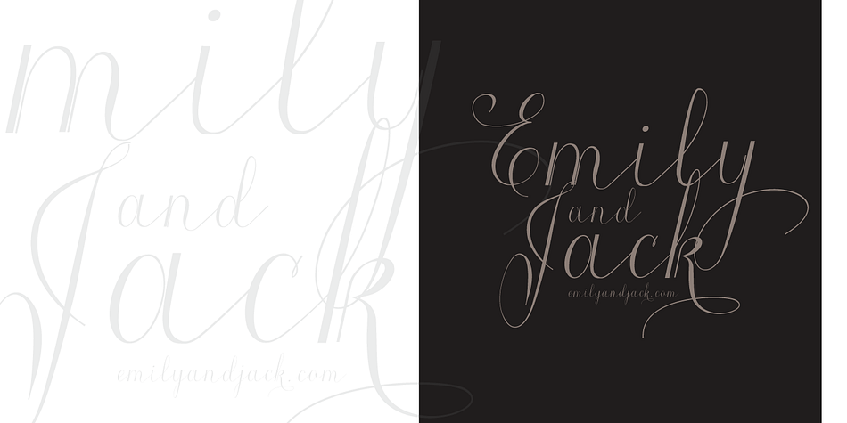 Roicamonta font family sample image.