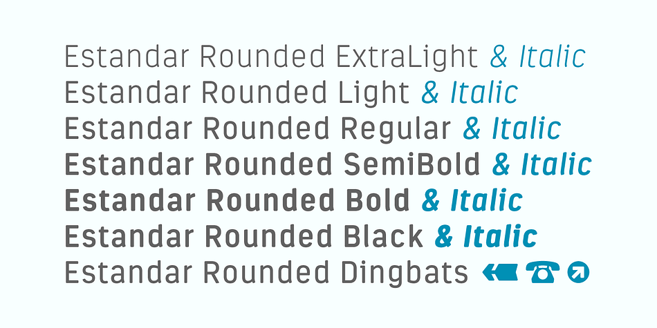 Emphasizing the popular Estandar Rounded font family.