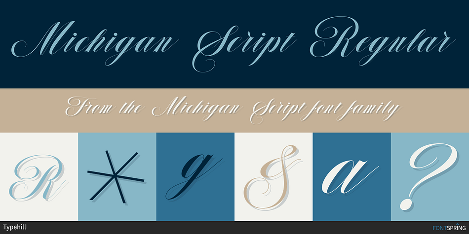 Michigan Script Regular Font