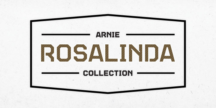 Displaying the beauty and characteristics of the TecoSans font family.