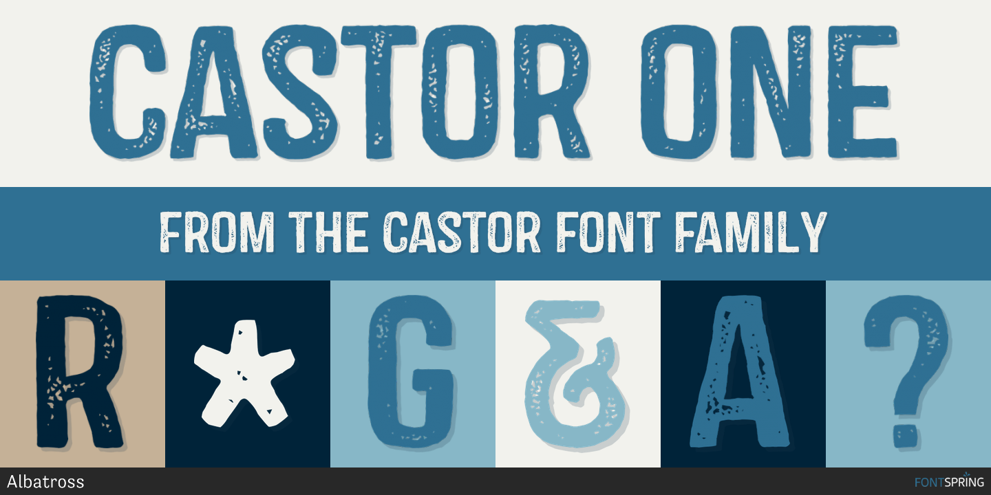 Fonts similar to Castor