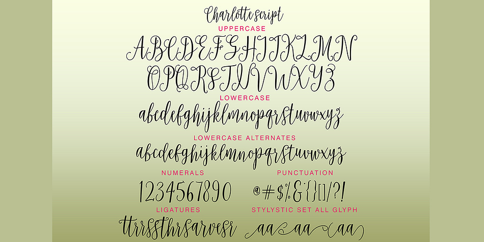 Charlotte Font