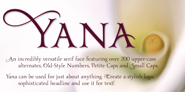 In particular, we discussed a serif face that would be so versatile, from simple to complex styling, with letters adorned with swashes we would be able use it for just about everything: we could customize it for logos and headlines and then be able to use the same font for text too – it would be a designer’s tool kit.