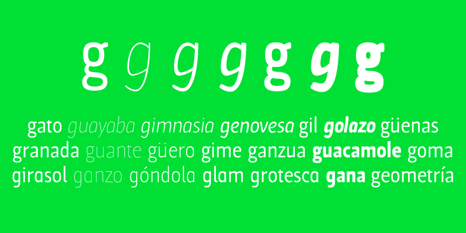 This typeface has fourteen styles  and was published by TipoType.
