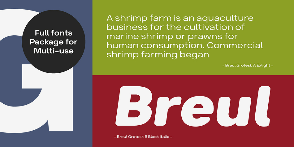 Brueul Grotesk has A and B sets with 16 styles each, giving you an all-purpose usage.