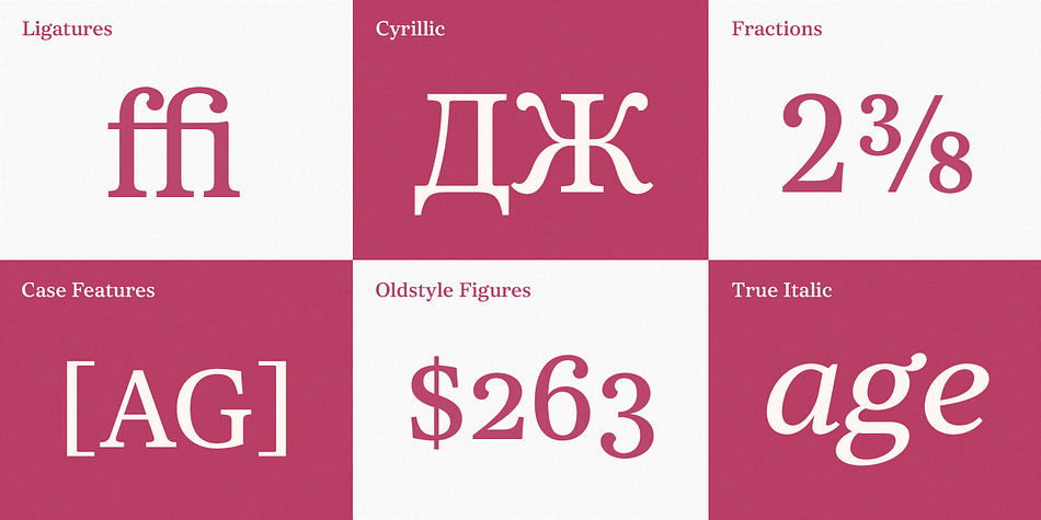 Core Serif N Thin is designed such as a frame of Core Serif N Family, so its serif shapes are slightly different with other weights