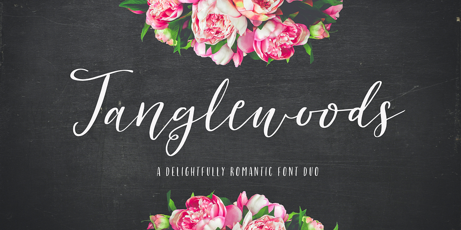 A romantic little modern calligraphy font duo that will all whisk you off your feet!