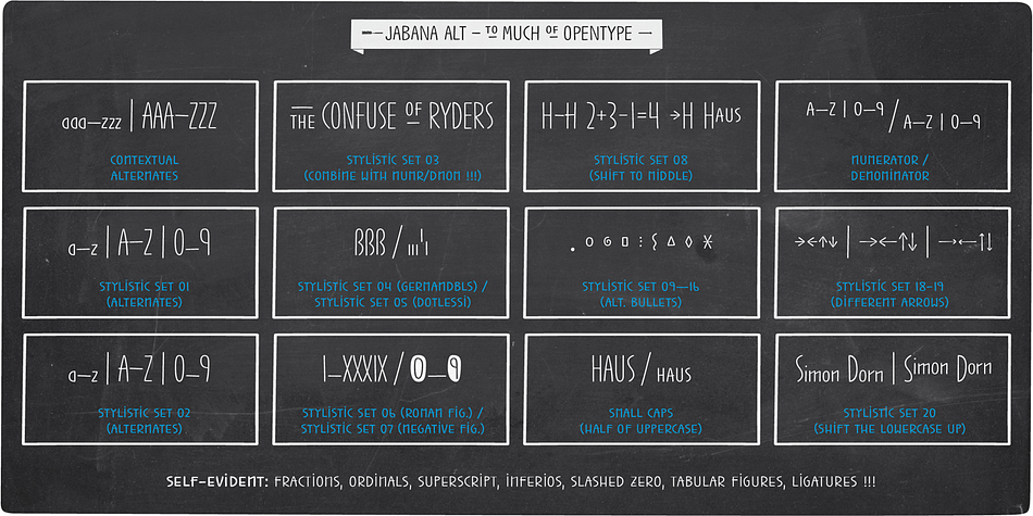 Another reason for the amount of 1500 glyphs are the numerator and denominator letters which include A-Z, punctuation and the extra bullets (ss09-16).