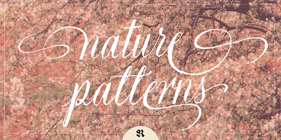 Natura font family example.