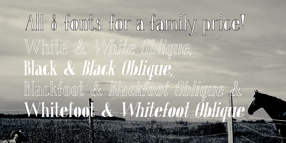 You can combine the different styles of the family to make variations to your design.