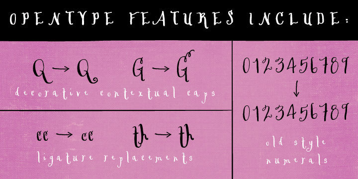 Cerise includes decorative contextual caps, double-letter ligatures, discretionary ligatures, and old-style numerals as well as 62 coordinating strokes and swashes.