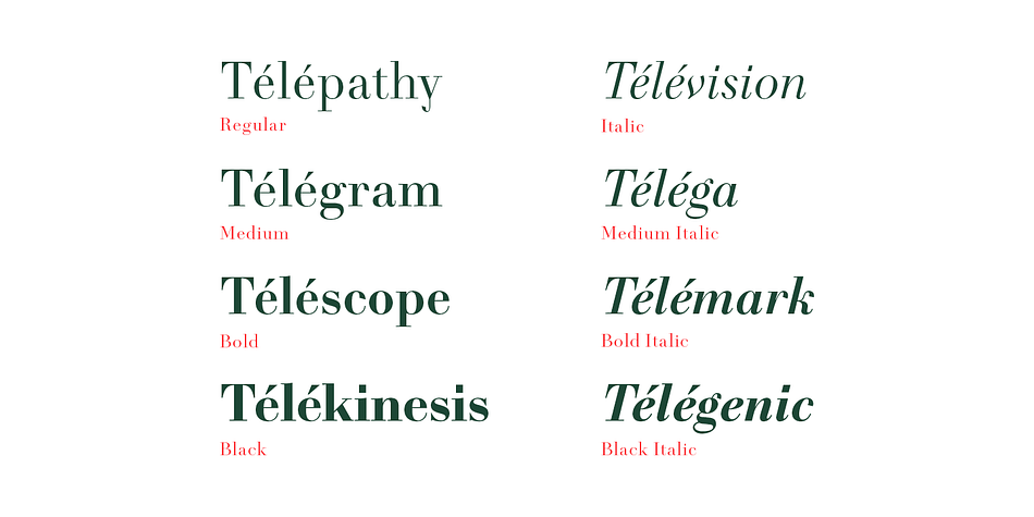 Télémaque FY includes 18 OpenType features including Lining Figures and Standard Ligatures making this font a great value.