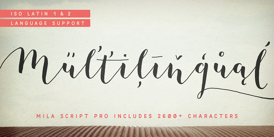 Mila Script Pro features an extra dingbat font.