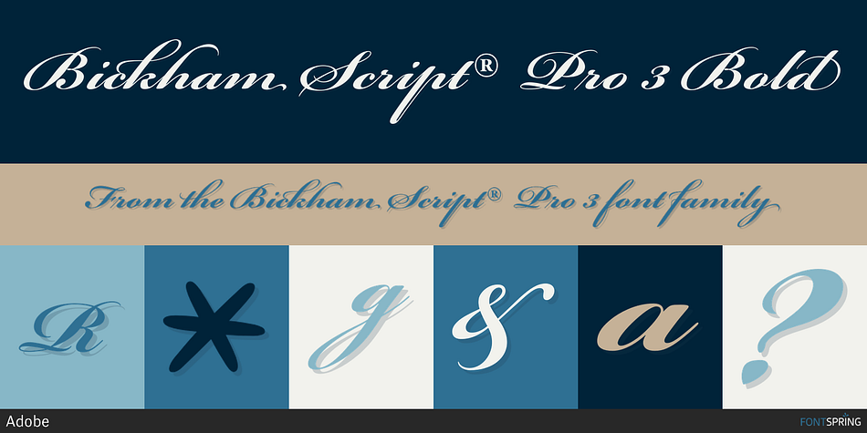 Bickham Script® Pro 3 Bold Font