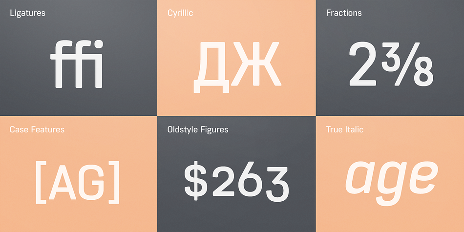 Core Sans R supports complete Basic Latin, Cyrillic, Central European, Turkish, Baltic character sets.