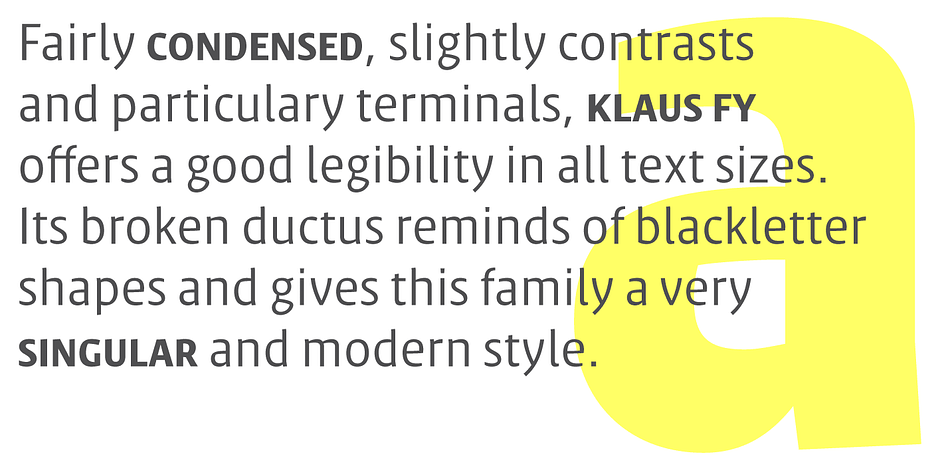 Highlighting the Klaus FY font family.