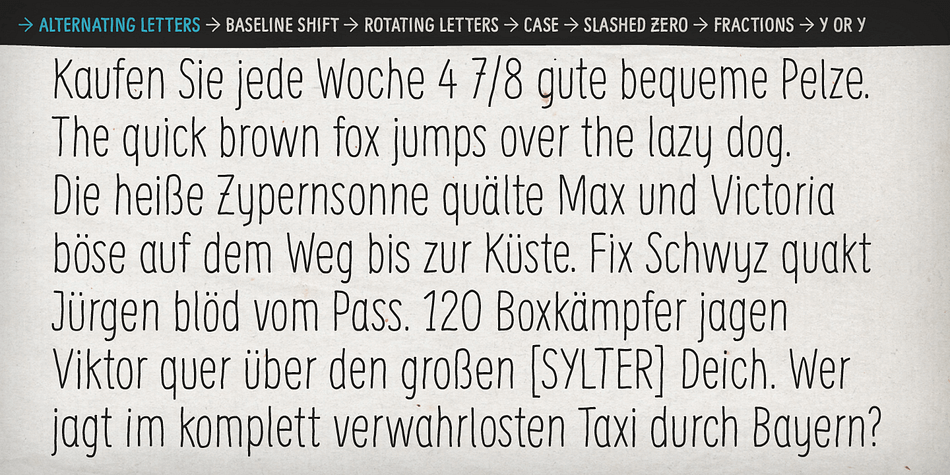 Emphasizing the popular Supernett font family.