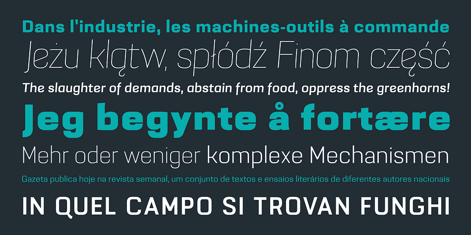 This typeface has display proportions and a few typographic contrasts.