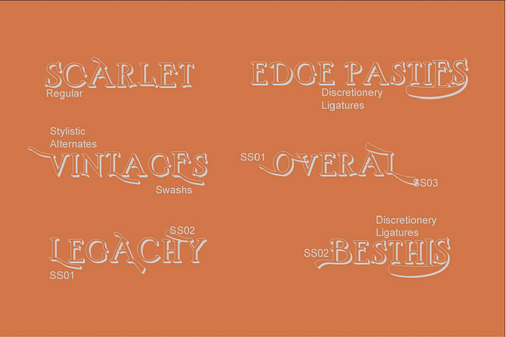 How to access all alternative characters, using Windows Character Map with Photoshop:

https://www.youtube.com/watch?v=Go9vacoYmBw

How to access all alternative characters using Adobe Illustrator:

http://youtu.be/iptSFA7feQ0

There are additional ways to access alternates/swashes, using Character Map (Windows), Nexus Font (Windows), Font Book (Mac) or a software program such as PopChar (for Windows and Mac).