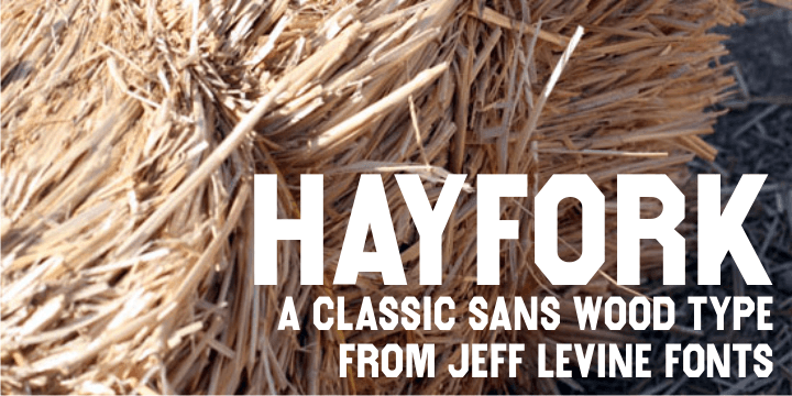 Hayfork JNL is based on a vintage wood type sanserif typeface from the 1880’s.