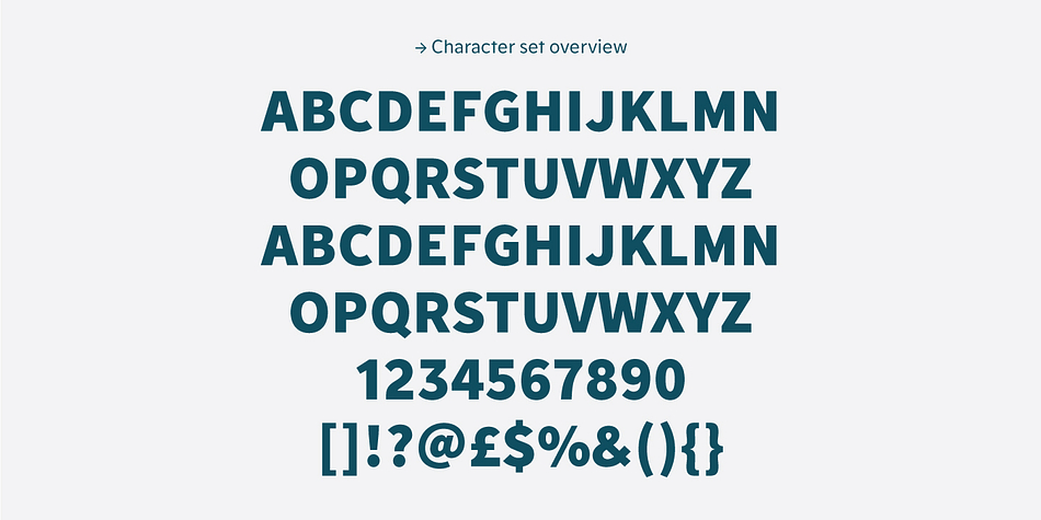 Monrad Grotesk  has extensive OpenType support including 5 additional stylistic sets, Oldstyle Figures and Standard Ligatures giving you plenty of options to allow you to create something truly unique and special.