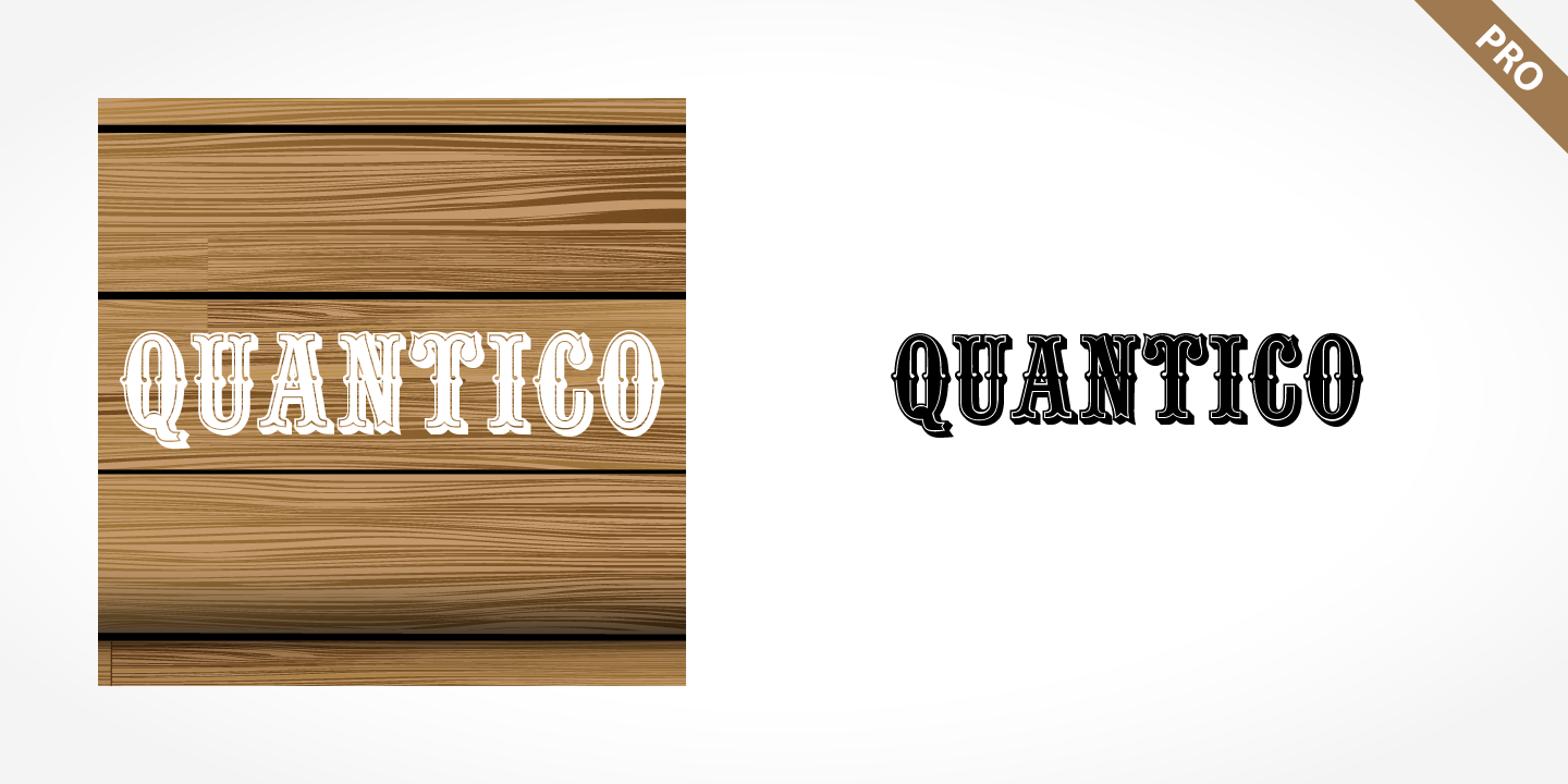 Quantico Pro