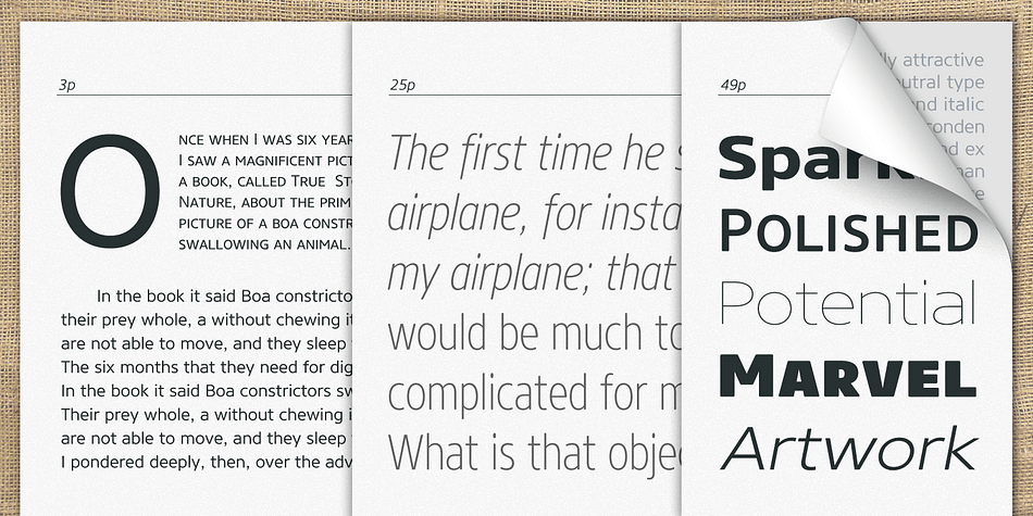 The Core Sans NR Family consists of 3 widths (Condensed, Normal, Extended), 9 weights (Thin, ExtraLight, Light, Regular, Medium, Bold, ExtraBold, Heavy, Black), and Italics for each format.