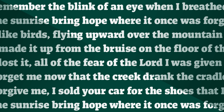 Displaying the beauty and characteristics of the Frido Black font family.