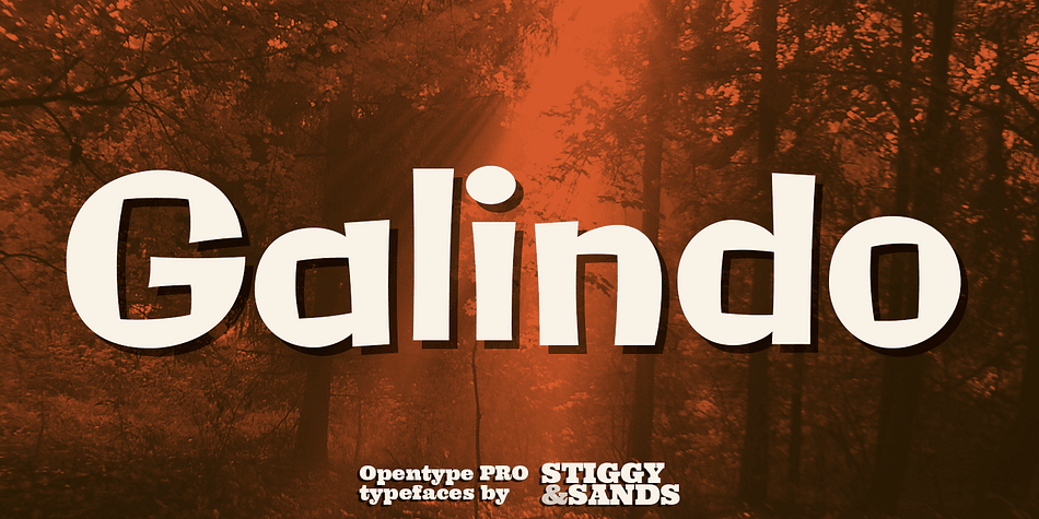 Galindo Pro was inspired by the heavy-weight animated fonts such as Ad Lib, Nightclub, and Bear Club, blending geometric cuts with light-hearted contours.
