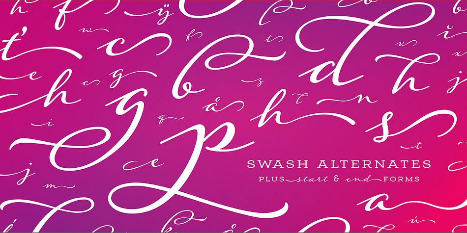 Emphasizing the favorited Adorn Garland Smooth font family.