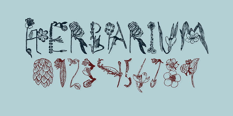 A colorful floral book that I found at a flea market inspired me to make the font Herbarium.