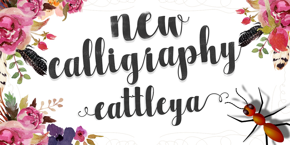 Cattelya Script is a new calligraphic hand lettered script.