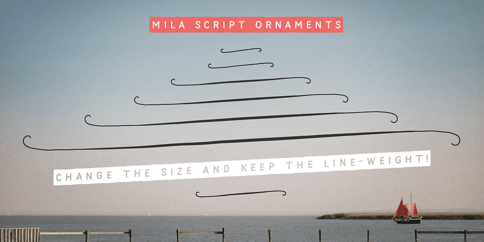 Mila Script Basic (900+ characters) offers all single features contained in OpenType Contextual-Alternates: subtle contextual swash alternates, positional forms, ligatures, connecting and non-connecting characters.