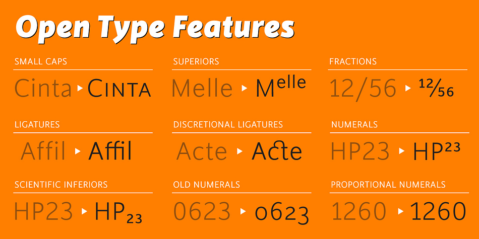 Emphasizing the popular Cinta font family.