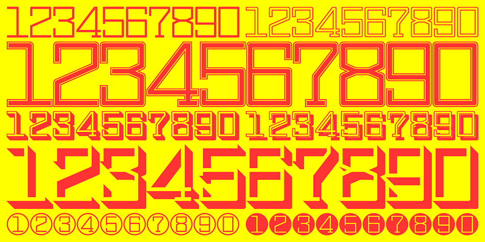 Display Digits is a ten font, dingbat and novelty family by Gerald Gallo Fonts.