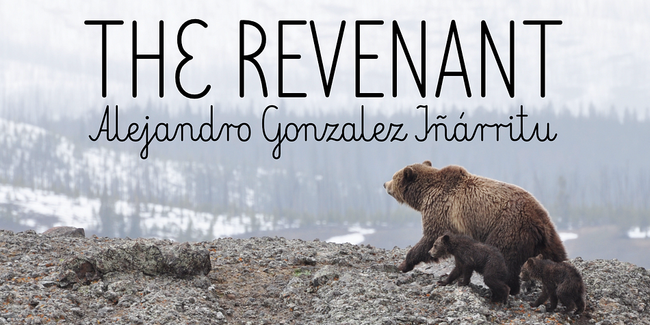 Elementarz font family sample image.