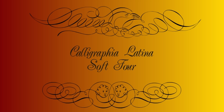 Displaying the beauty and characteristics of the Calligraphia Latina Soft Four font family.