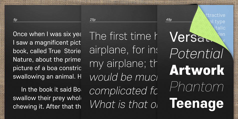 The Core Sans E Family consists of 9 Weights (Thin, ExtraLight, Light, Regular, Medium, Bold, ExtraBold, Heavy, Black) and Italics for each format.