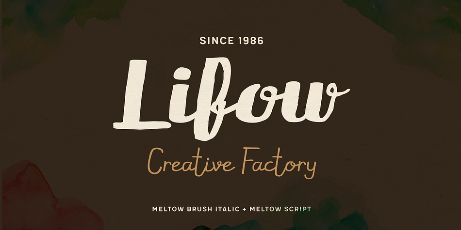Meltow is a twenty-five font, multiple classification family by Typesketchbook.