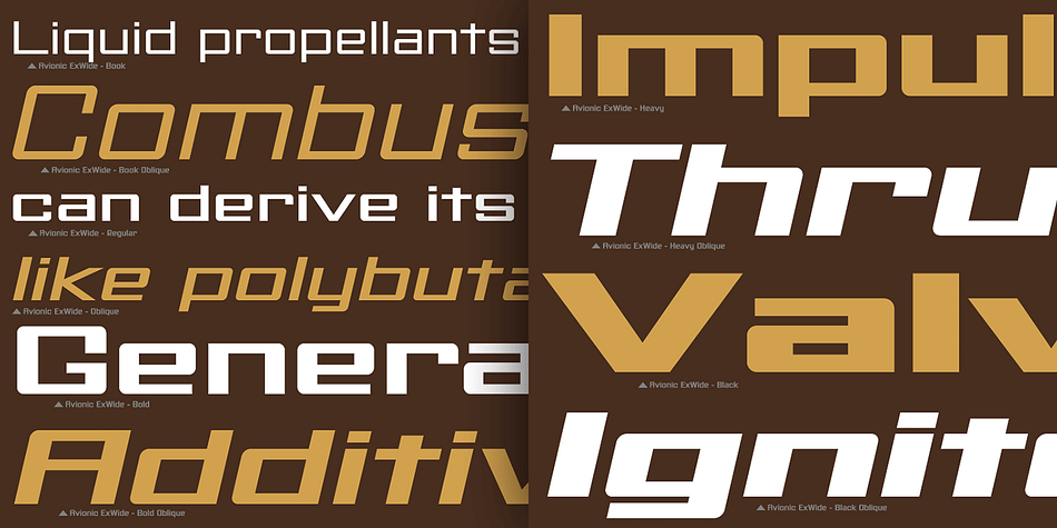 •	Accompanying Obliques with each weight/width style.