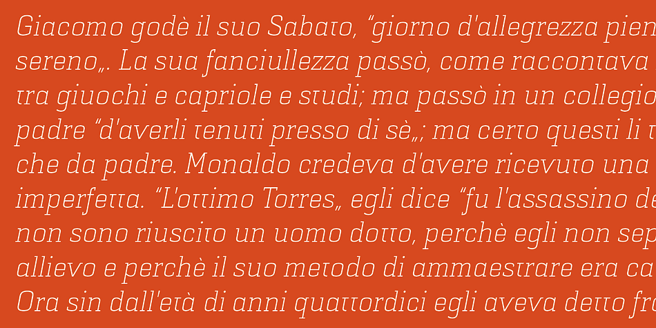 Displaying the beauty and characteristics of the Selektor Slab font family.