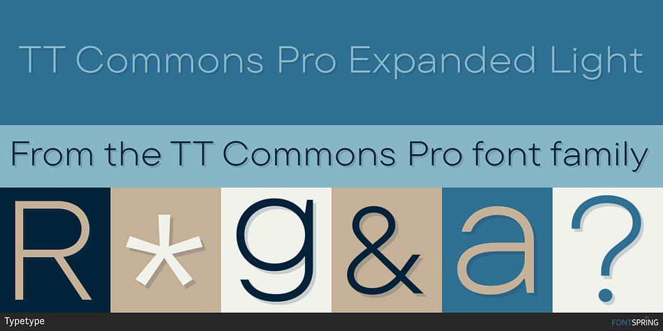 TT Commons Pro Expanded Light Font