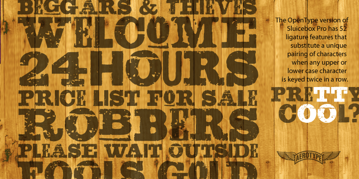 Displaying the beauty and characteristics of the Sluicebox Pro font family.