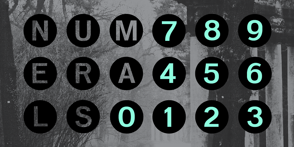 Seven variations of numerals, true small caps with accents, ligatures, manually edited kerning and Opentype features.
