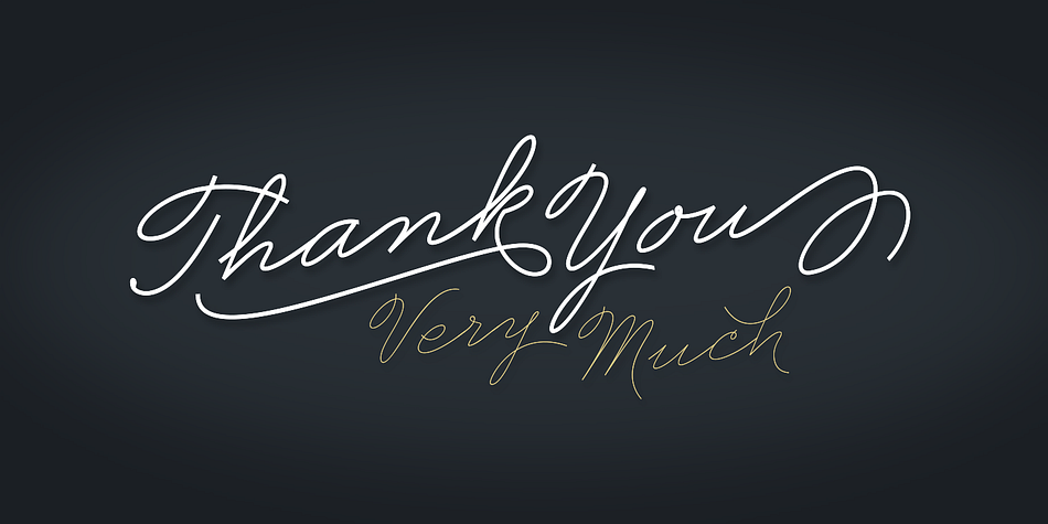 Displaying the beauty and characteristics of the Business Penmanship font family.