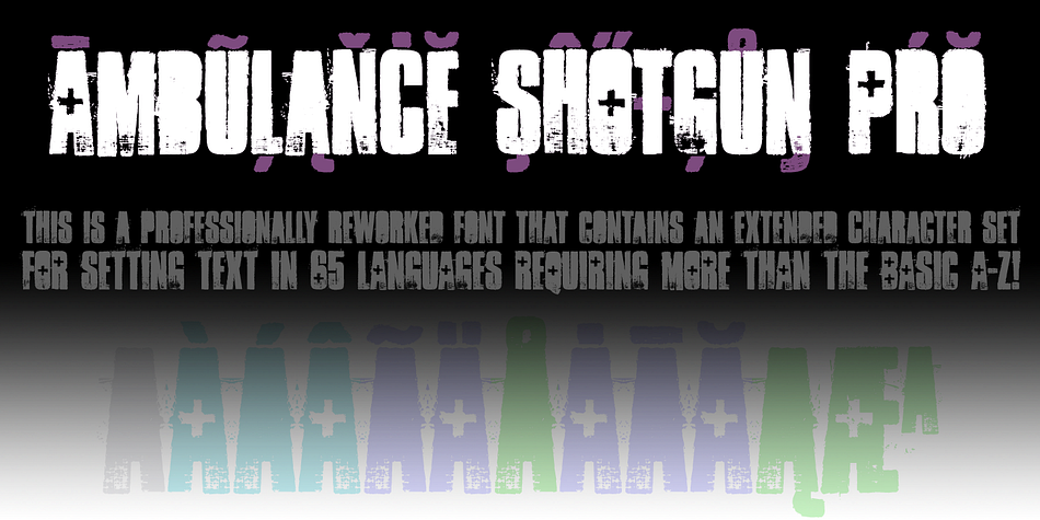 Displaying the beauty and characteristics of the Ambulance Shotgun Pro font family.