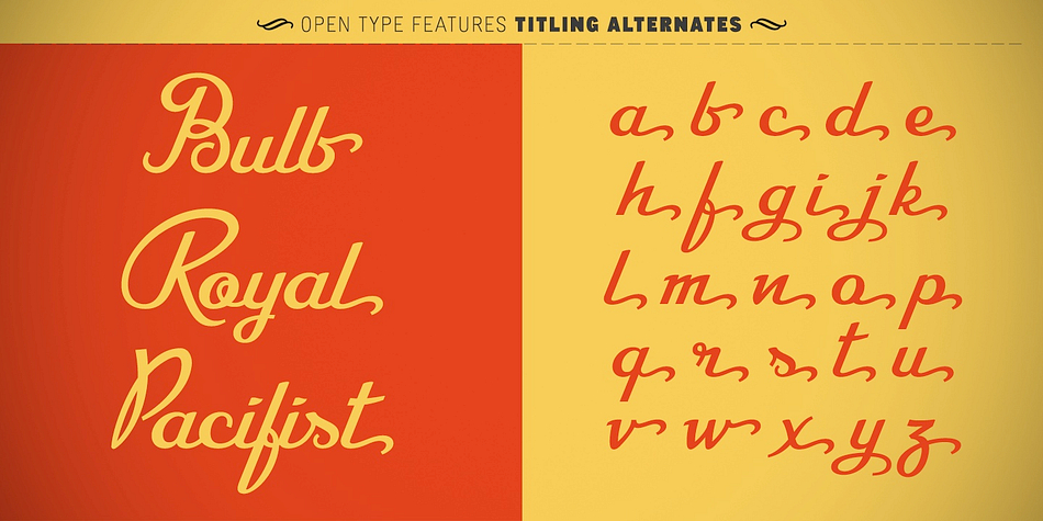 Displaying the beauty and characteristics of the CA Recape font family.