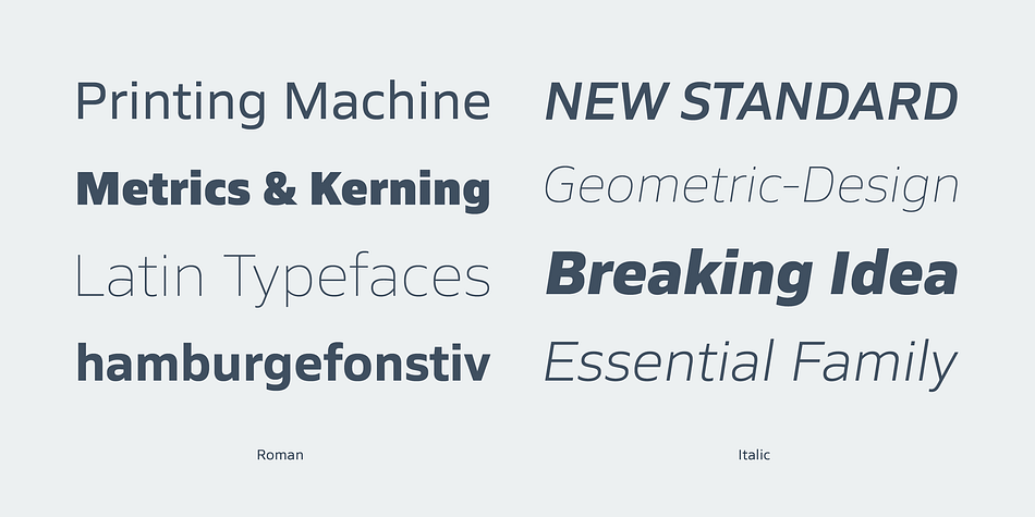 Displaying the beauty and characteristics of the Siro font family.